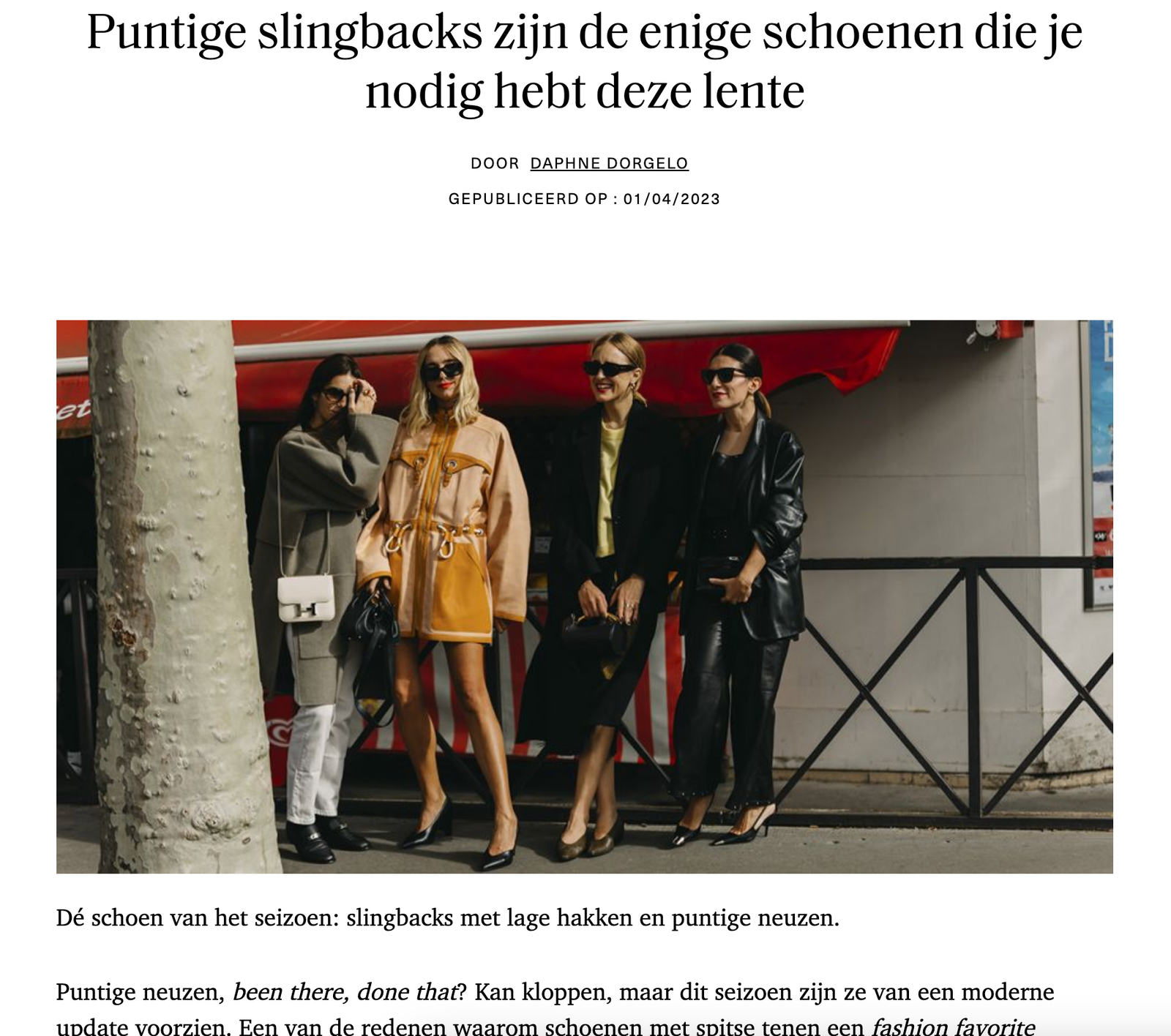 Elegante Slingback Schoenen - Elle Artikel